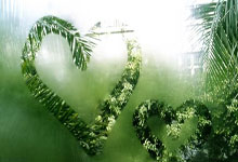 关于重返巅峰路上曲折莫测，团队紧密合作的信息