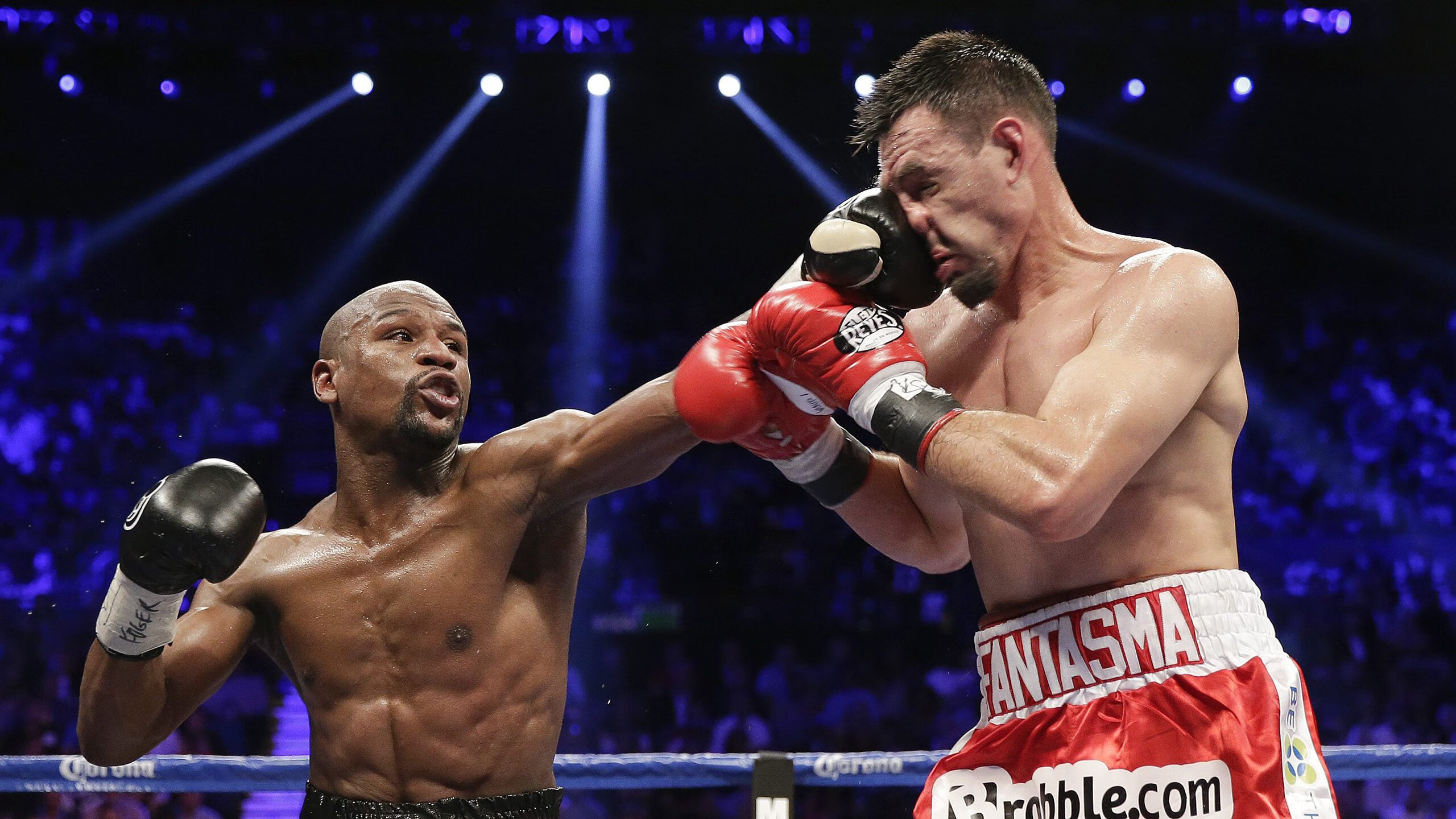 莎拉波娃新星晋级下一阶段表现突出，雄鹿前途光明！上演精彩一战